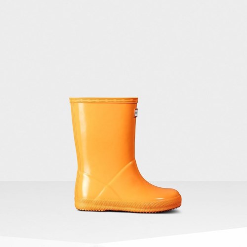 Hunter Original Classic Gloss Wellies (X490Y) Ireland
